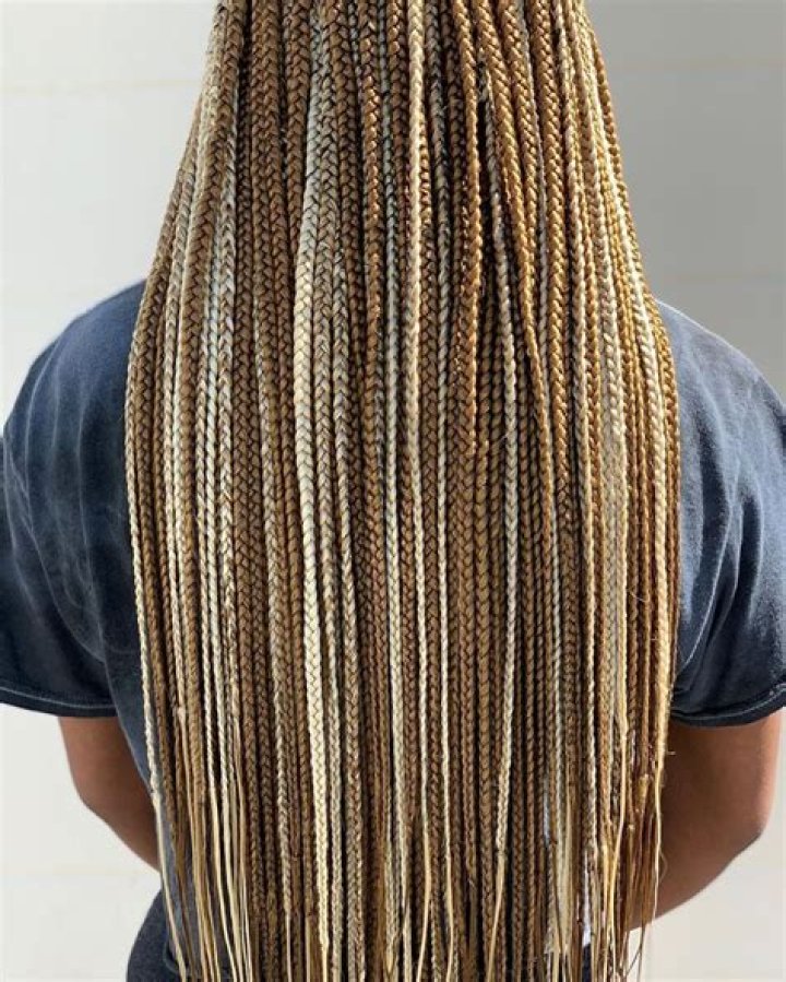 30 Braid Colors: A Comprehensive Guide to Stunning Hair Transformations