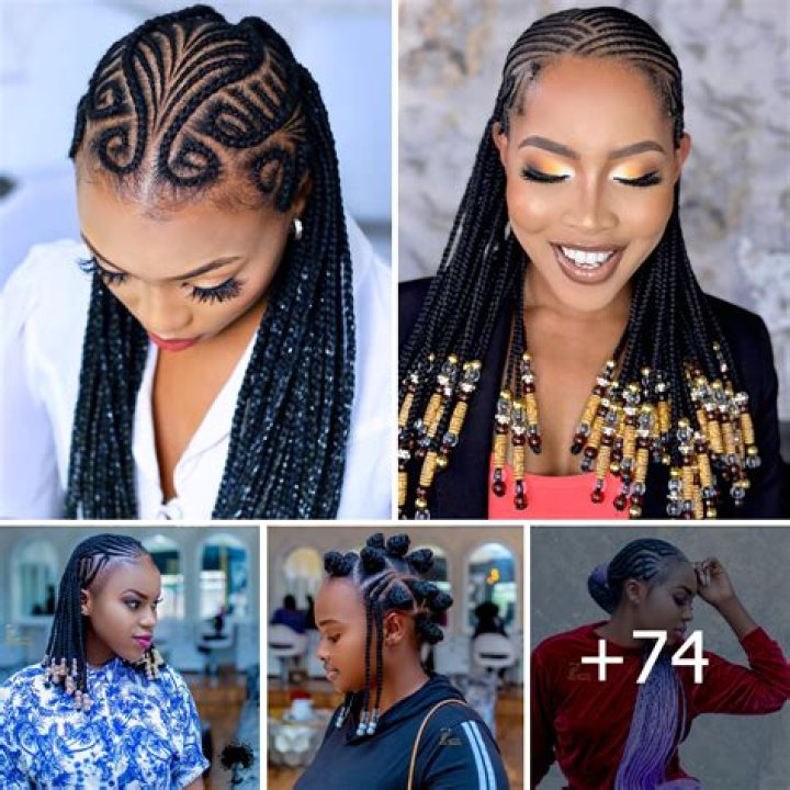 A Comprehensive Guide to African Hair Styles: Braids