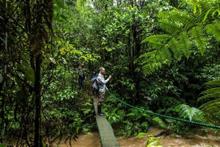 Amazon Houses: Exploring Sustainable Living in the Amazon Rainforest
