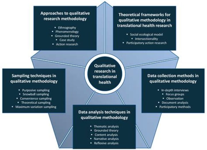 An In-Depth Exploration of IPPA 010054: Understanding Its Impact and Significance