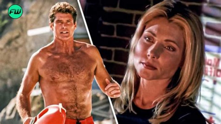 Baywatch: The Legacy of Loni Anderson