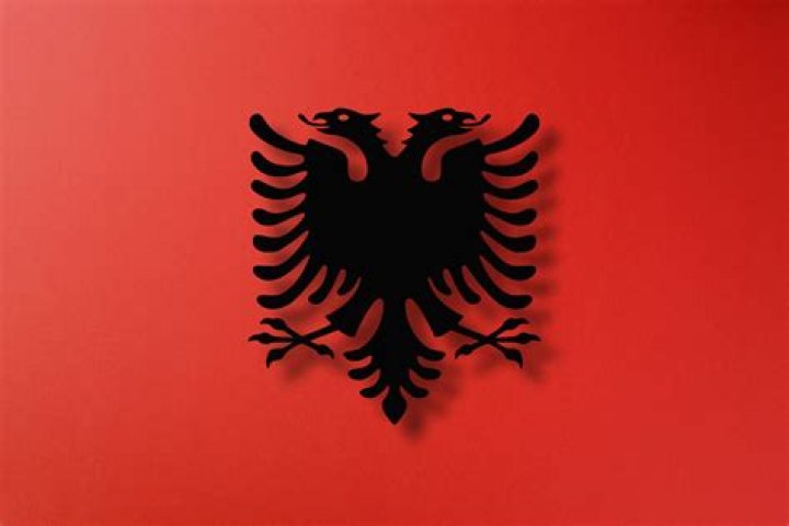 Besnik Sahat&ccedil;iu: The Rising Star in Albanian Politics
