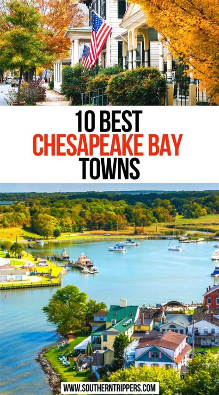 Best Chesapeake Buckets & More!