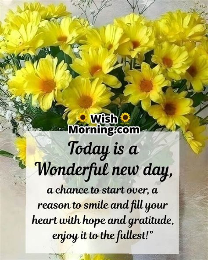 Best Day Wishes: Spread Joy and Positivity