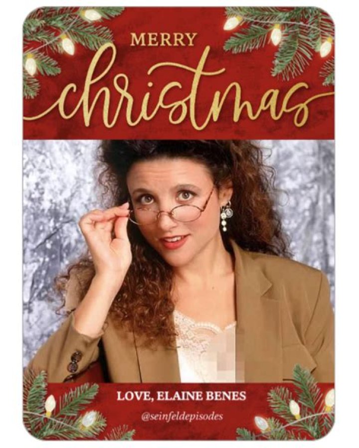 Best Elaine Benes Christmas Cards - Funny Holiday Greetings