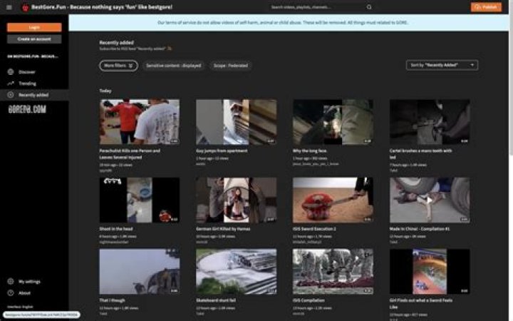 Bestgore Alternative: Your Ultimate Guide to Exploring Shocking Content Safely