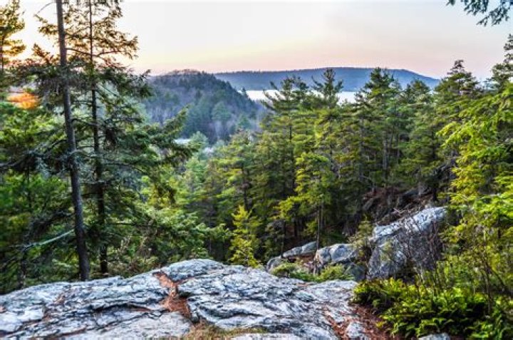 Big Fatty's Vermont: A Culinary Delight in the Green Mountains