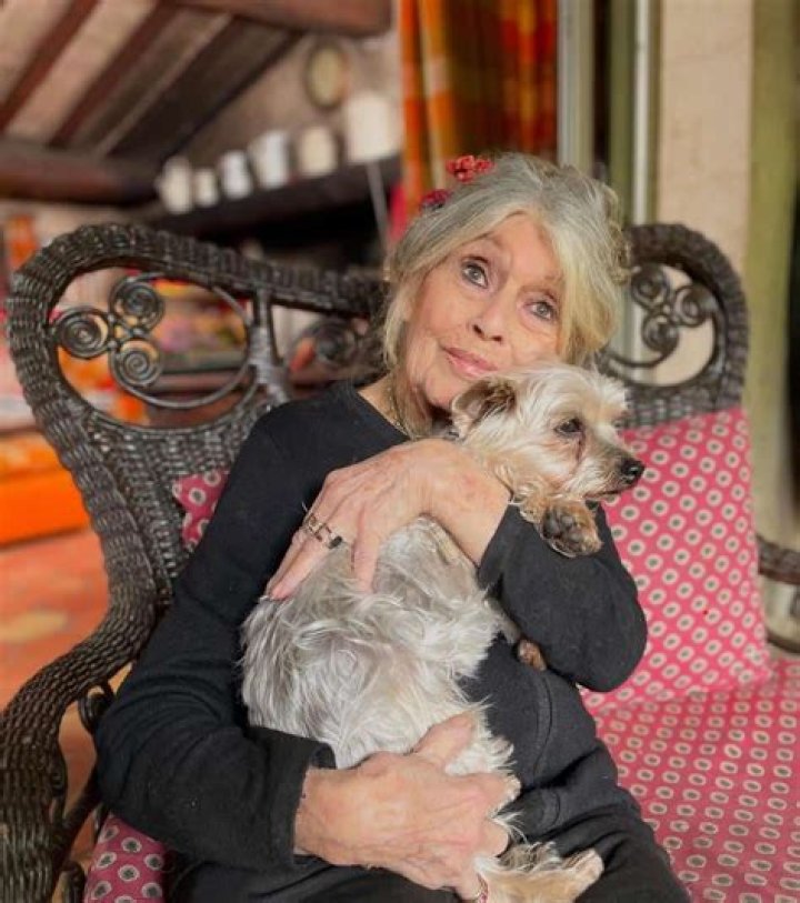 Billie Bardot Interview: A Comprehensive Look Into Her Life, Career, and Views