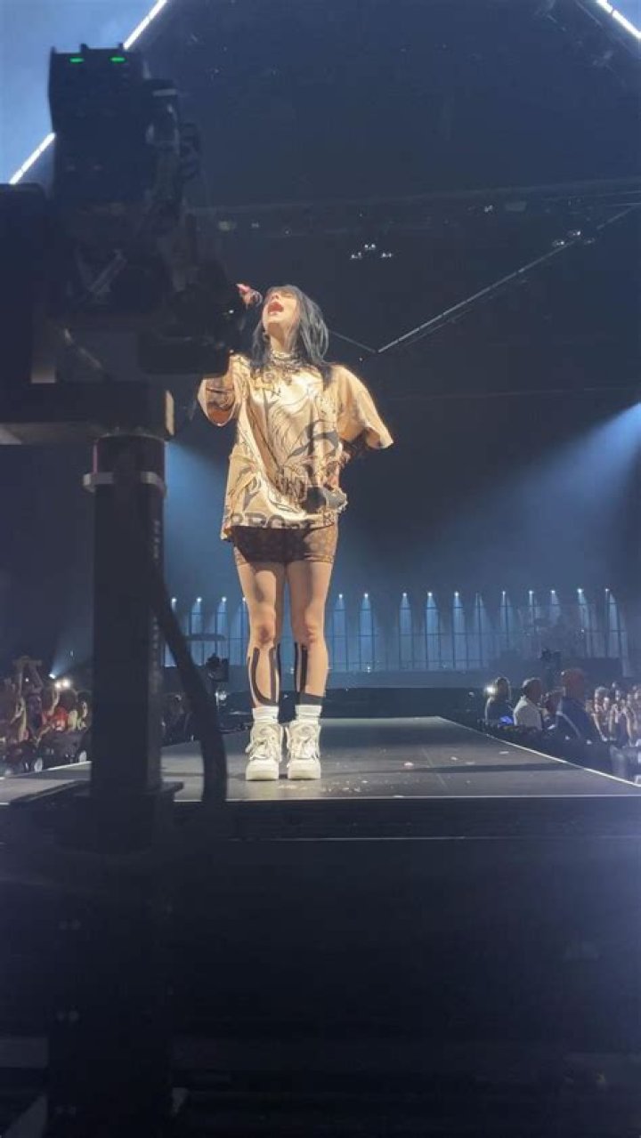 Billie Eilish Concert Outfit: Styling Highlights from 
