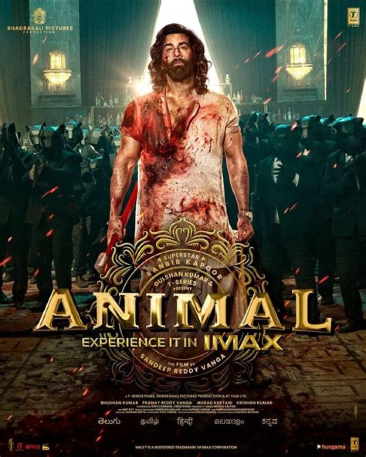 BollyFlix 2025: The Ultimate Streaming Experience You Can't Miss Out On