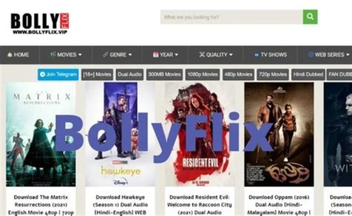 BollyFlix: The Ultimate Guide to Your Favorite Indian Movie Streaming Platform