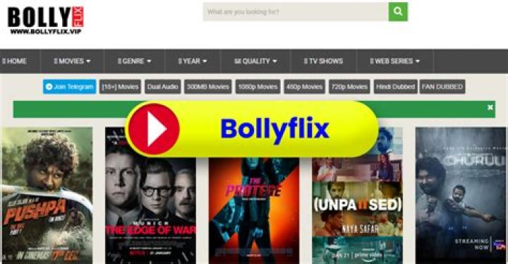 BollyFlx: Your Ultimate Guide to Streaming Bollywood Movies