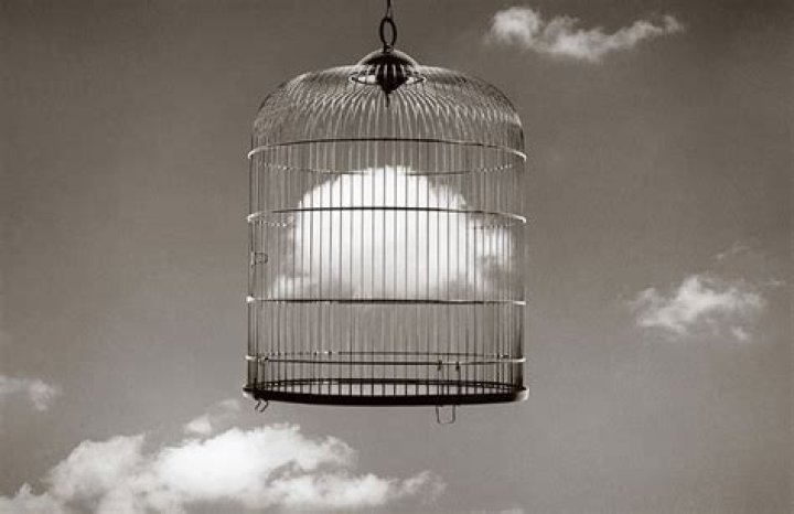 Cade Madoz: A Comprehensive Exploration of His Photography and Legacy