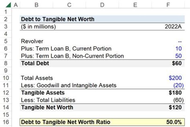 Chapul Net Worth: From Inception to Impact
