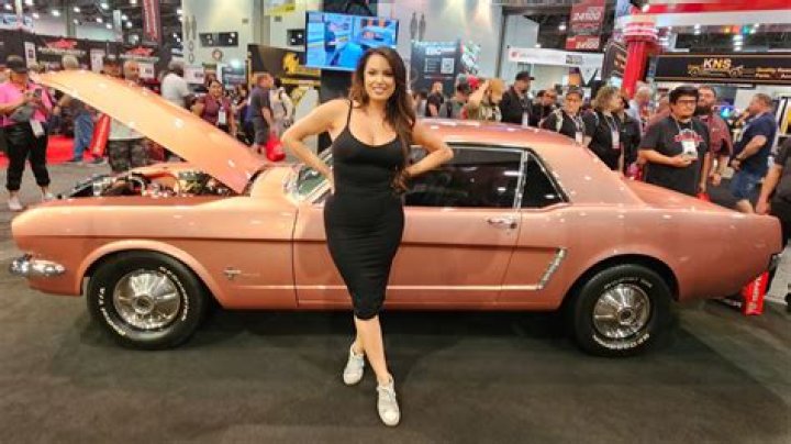 Constance Car Master: The Journey of a Remarkable Automotive Expert