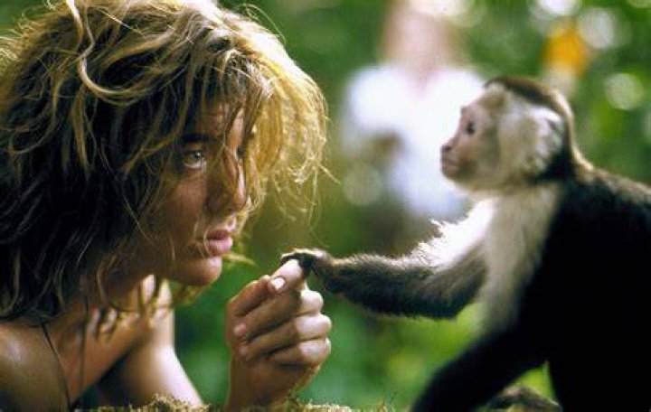 Crystal the Monkey: The Talented Star of Hollywood
