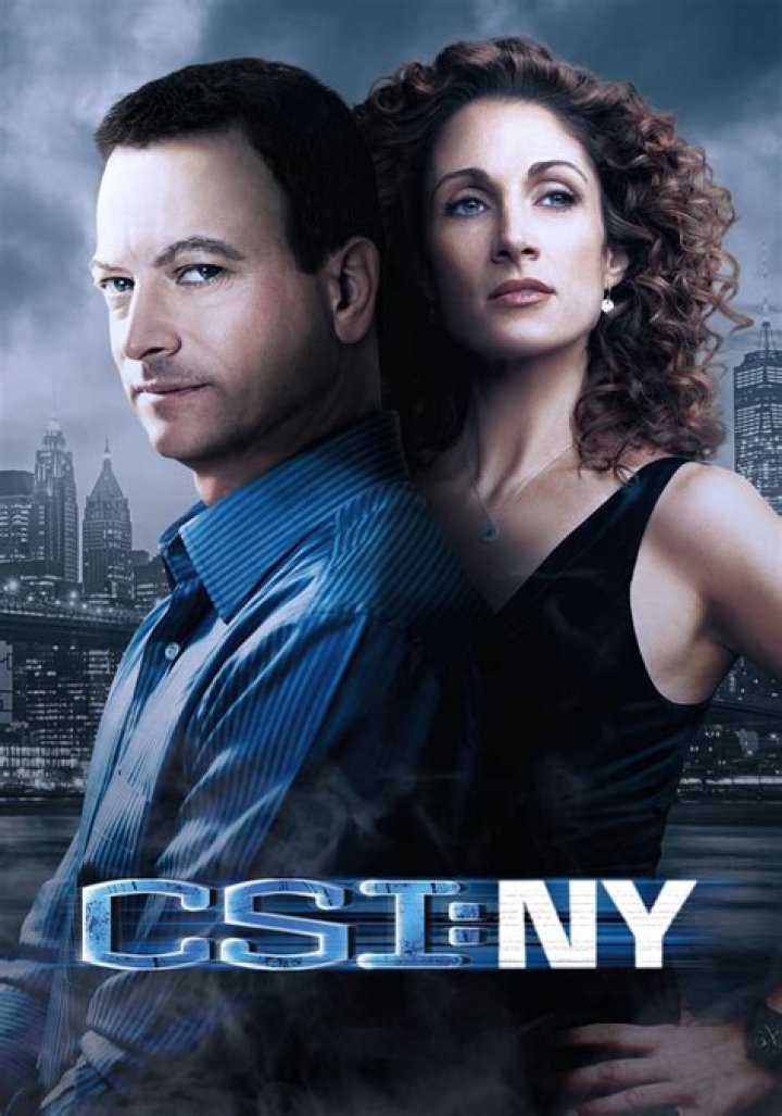 CSI: NY Cast - Who Starred in the Hit Show?