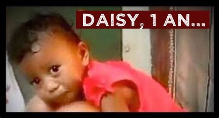 Daisy's Destruction: An In-Depth Look at the Controversial Case