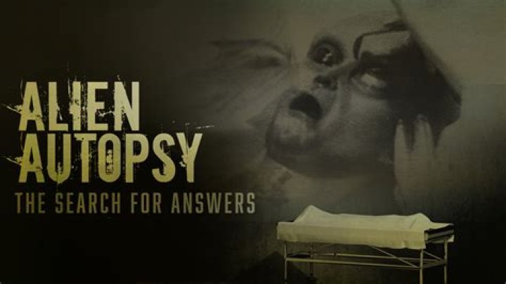 Danielle Bacon Missing: The Search for Answers