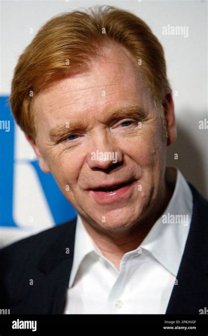 David Caruso: Actor, Director, & More!
