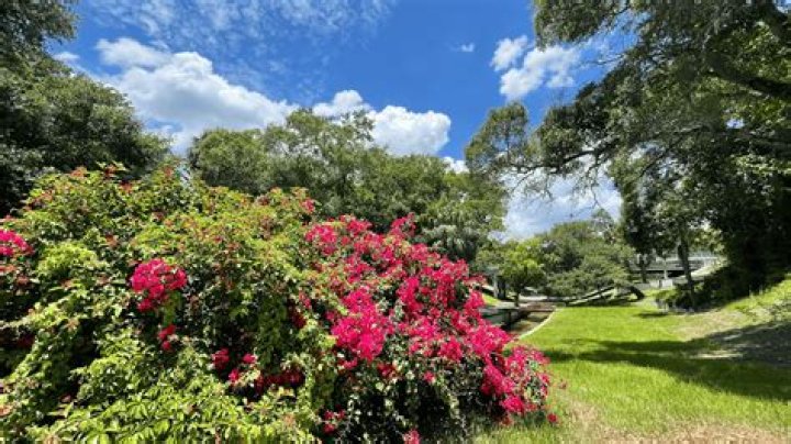 Discover Roser Park: Activities & Fun!