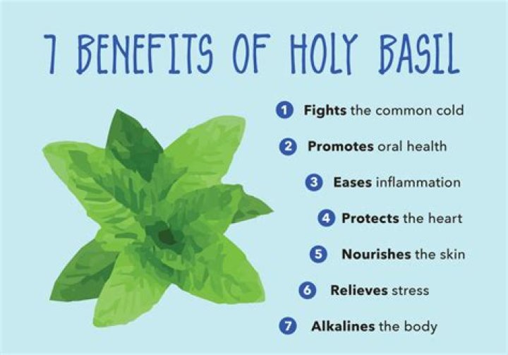Discover the Benefits of Holy City Bath Scrub: A Complete Guide