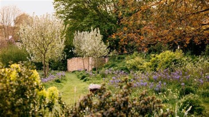 Discover the Serenity of The Good Day Farm: A Haven for Nature Lovers