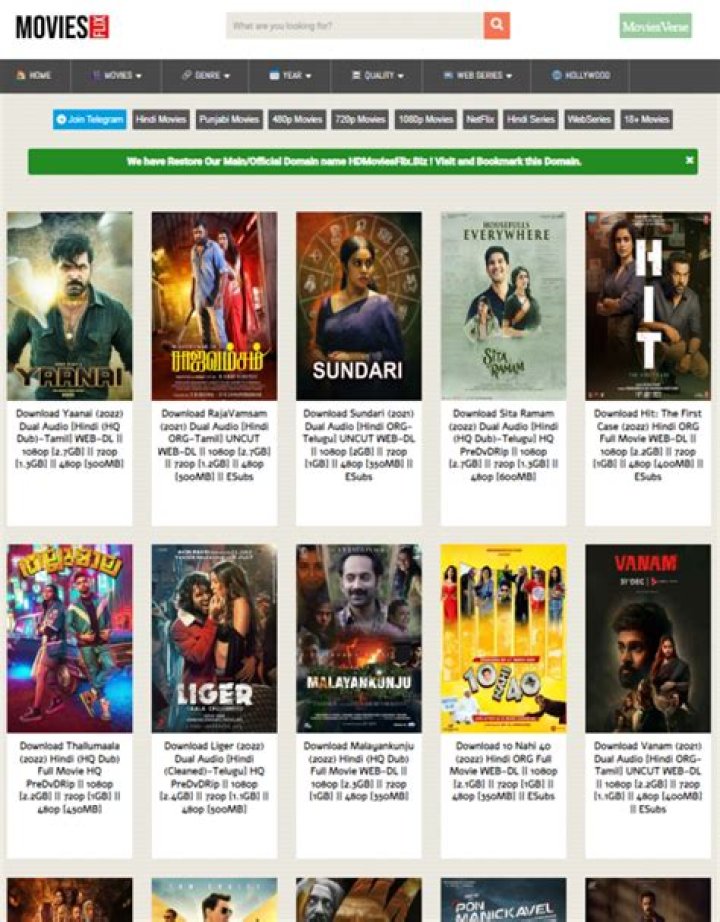 Discovering MoviesFlix Bollywood: The Ultimate Hub for Film Enthusiasts