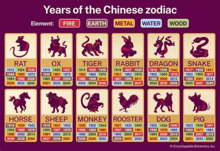 Discovering the Mysteries of the 1975 Chinese Zodiac