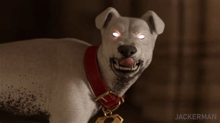 Discovering the Unique World of Jackerman Animation