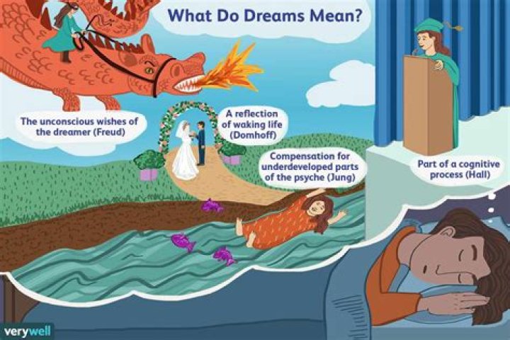 Do Cats Have Bad Dreams? Understanding Feline Nightmares