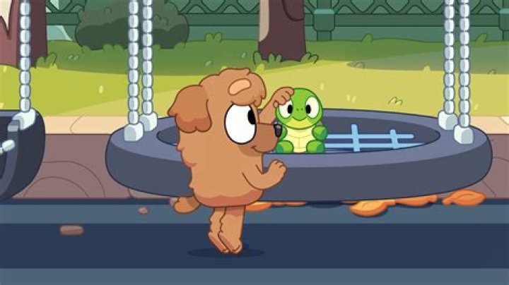 Doctor Turtleboy: The Revolutionary Figure in the World of Medicine and Gaming