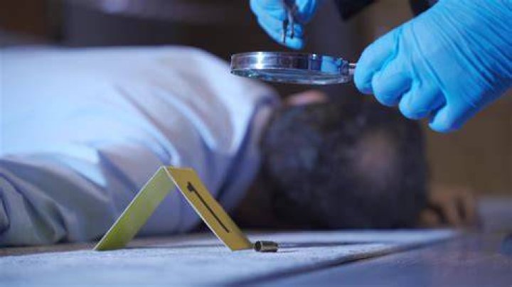 Dr. Michael Hunter: The Forensic Expert Behind the Scenes
