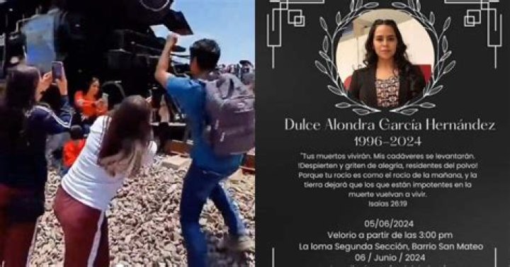 Dulce Alondra Train: Unveiling the Ultimate Travel Experience