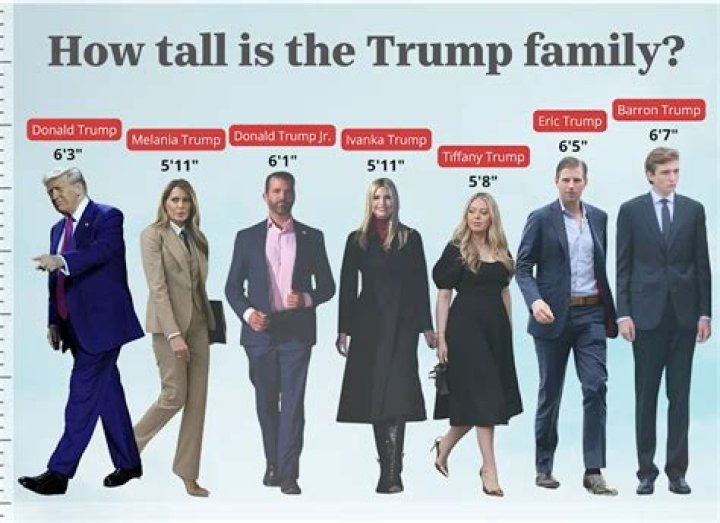 Elon Musk's Height: How Tall Is the Tech Titan?