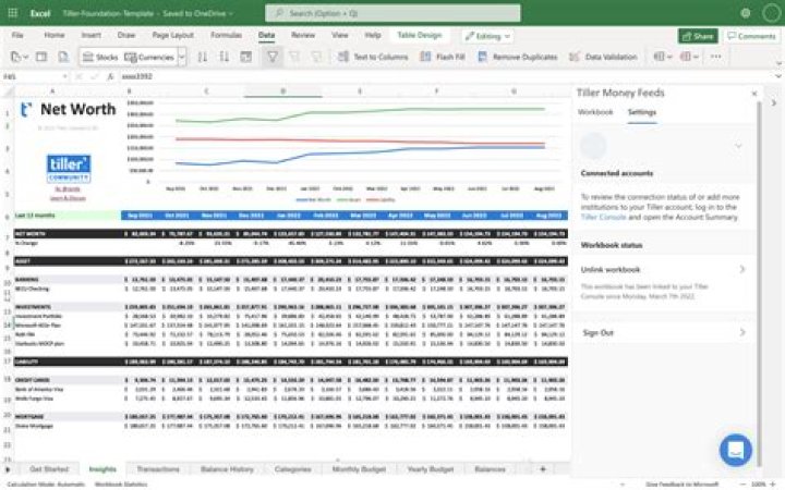 Erika Calabrese Networth: A Comprehensive Financial Overview