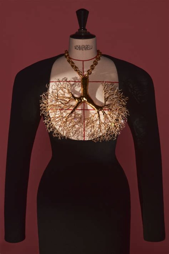 Erom&eacute; Jameliz: Unveiling the Enigma and Her Impact on the World