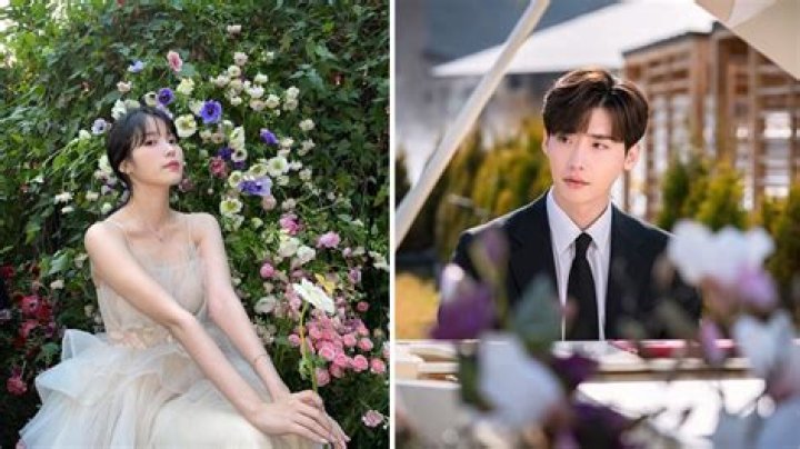 Exploring the Charismatic Connection: IU and Lee Jong Suk
