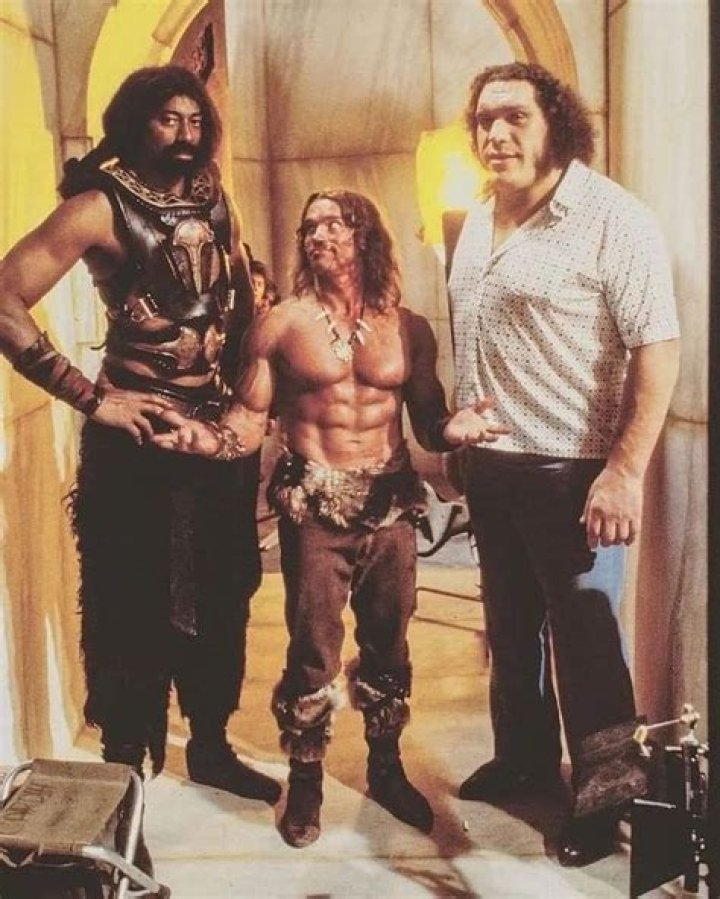 Exploring the Connection Between Schwarzenegger and Batman: A Unique Journey