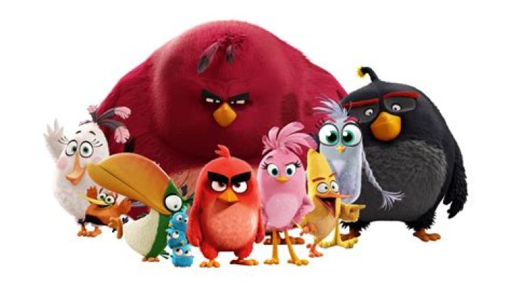 Exploring the Dynamic World of the Big Red Angry Bird