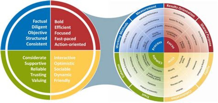 Exploring the Insights and Impact of Mkvespoint: A Comprehensive Guide