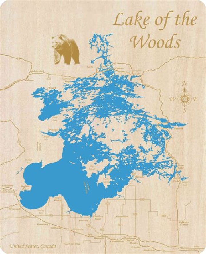 Exploring the Intricacies of the Woods Map in Tarkov: A Comprehensive Guide