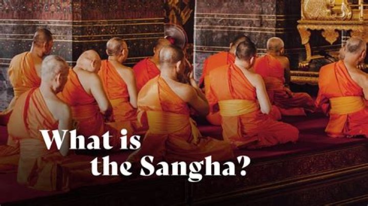 Exploring the Life and Career of Elchin Sanghu: A Journey Through Art and Culture