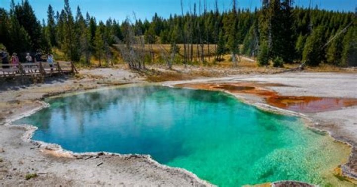 Exploring the Life and Journey of Alex Hurley in West Yellowstone