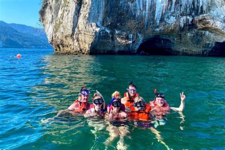 Exploring the Vibrant Pulse of Vegas NZ