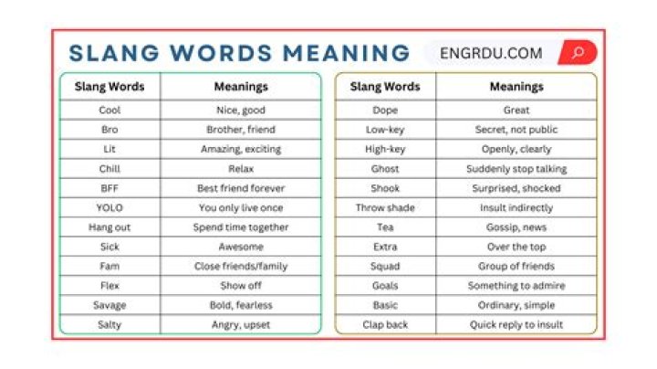 Exploring the Vibrant World of Slang Words Starting with 'S'