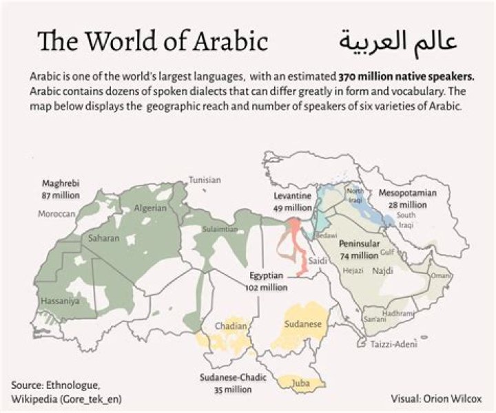 Exploring the World of Arabic Memes: A Cultural Phenomenon