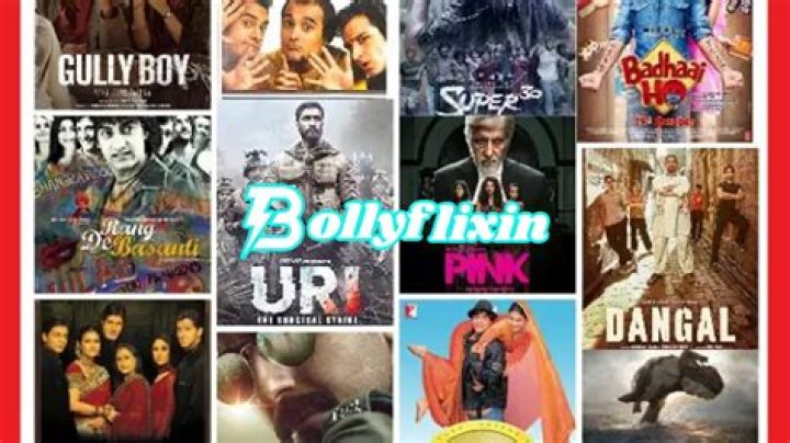 Exploring the World of HDHubU BollyFlix: Your Ultimate Streaming Destination