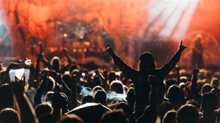 Fan Reactions and Community Buzz: The Ultimate Guide to Understanding the Craze