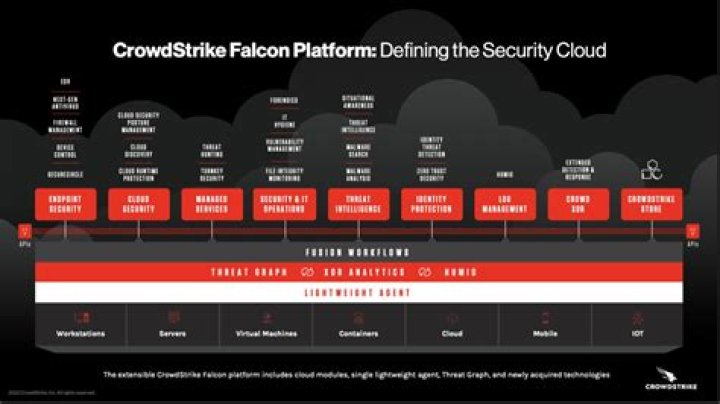 FDA's Choice: CrowdStrike Leads in Cybersecurity